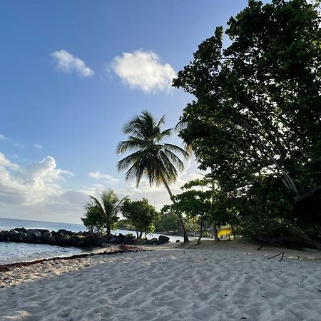 Villa Caraibes Sainte-Luce Esterno foto