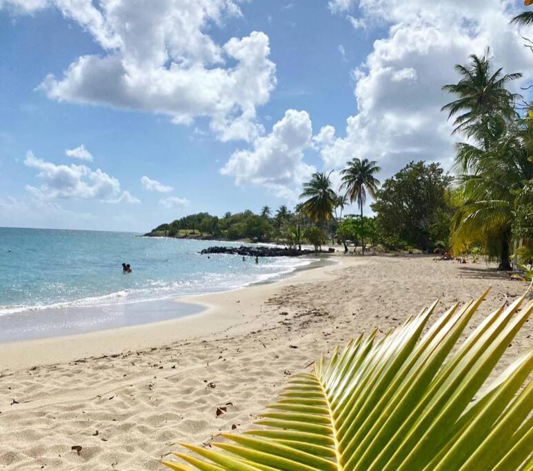 Villa Caraibes Sainte-Luce Esterno foto