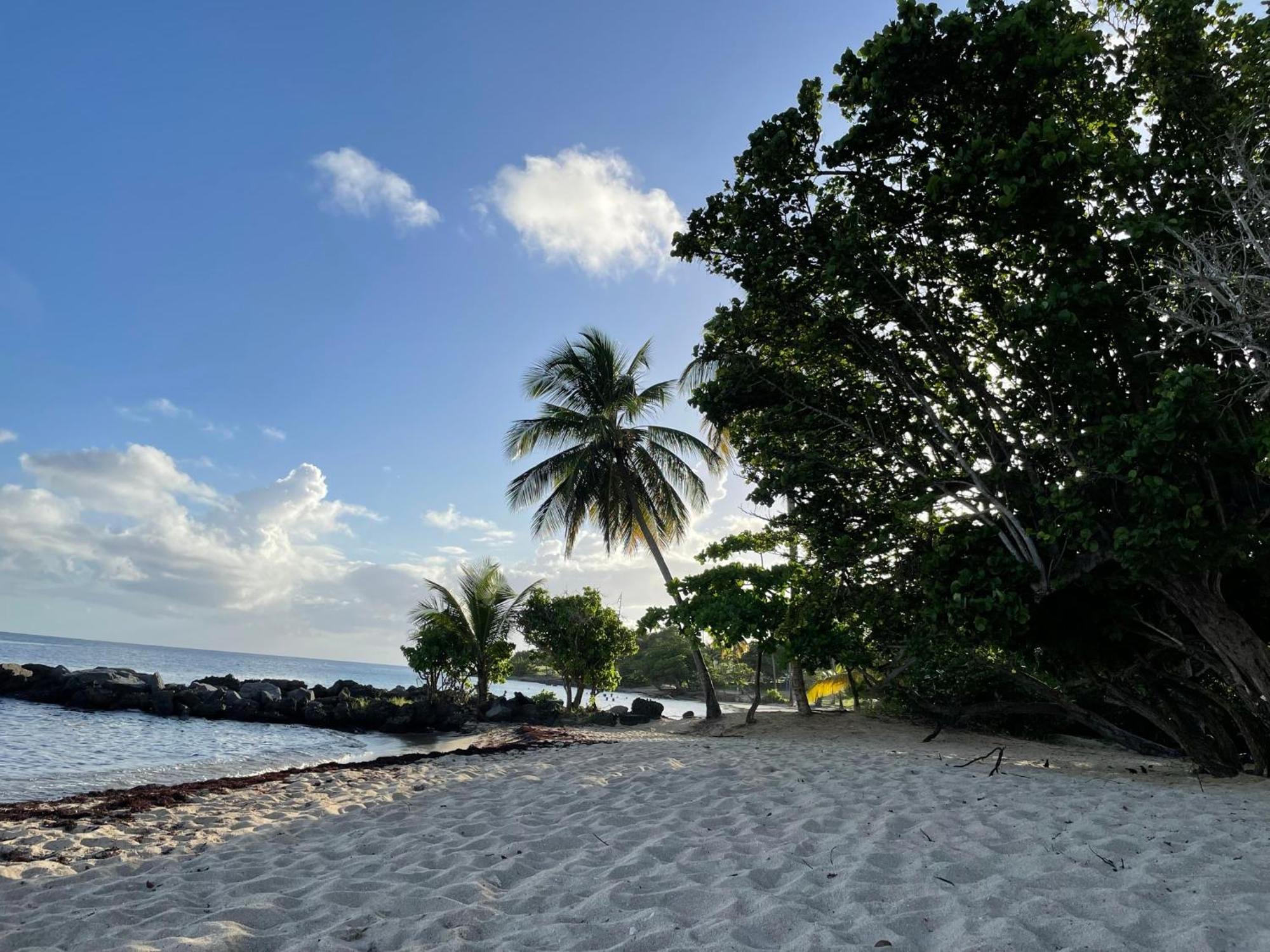 Villa Caraibes Sainte-Luce Esterno foto